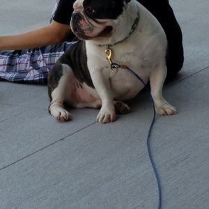 Meet your Posher, Tony